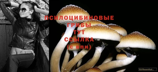 ешки Абаза