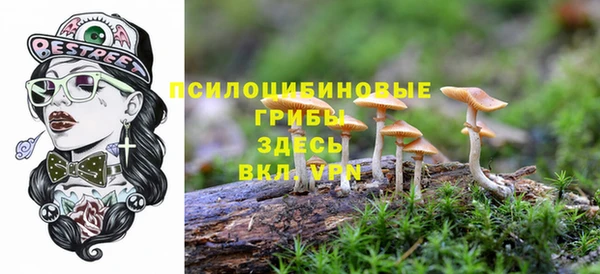 ешки Абаза