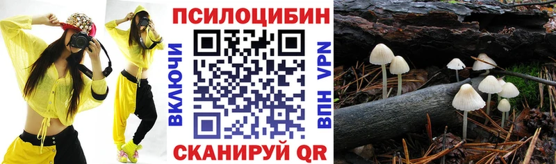 Галлюциногенные грибы мухоморы  это какой сайт  Чегем  mega tor 